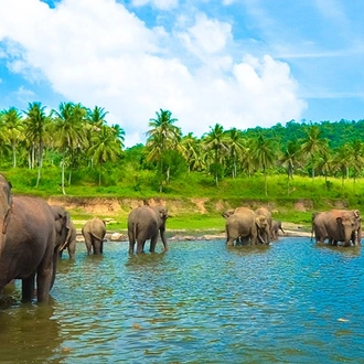 tourhub | Intrepid Travel | Sri Lanka Family Holiday  