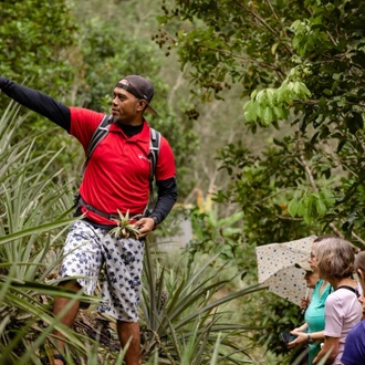 tourhub | Intrepid Travel | Classic Borneo 