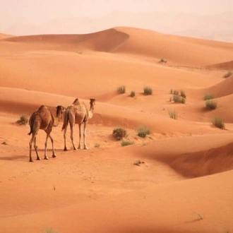 tourhub | Today Voyages | Best of Arabia: Dubai & AlUla (FR) 