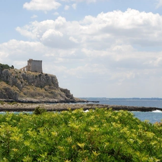 tourhub | Authentic Puglia Tours | Puglia Gastronomy & Wine Road Trip (summer) 