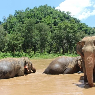 tourhub | Tweet World Travel | HERITAGE OF THAILAND TOUR 