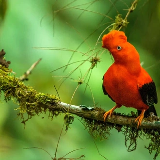 tourhub | Explore! | Natural Wonders of Guyana 