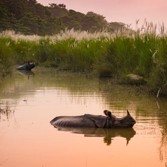 tourhub | Exodus Adventure Travels | Annapurna to Chitwan: Walks & Wildlife 