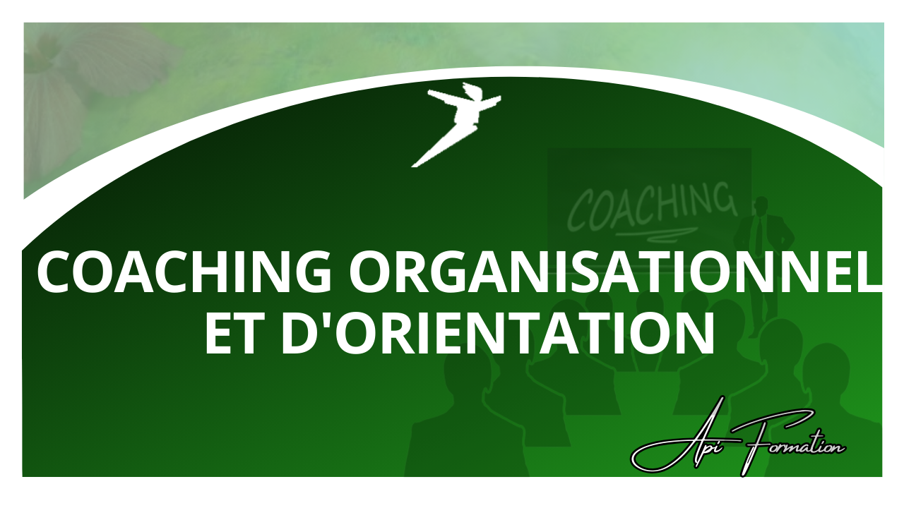 Représentation de la formation : COACHING ORGANISATIONNEL ET D'ORIENTATION