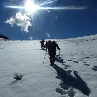 tourhub | Exodus Adventure Travels | Transylvania Winter Walk & Snowshoe 