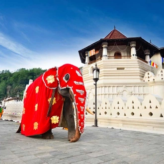 tourhub | Explore Vacations | Exclusive Honeymoon Days in Sri Lanka 