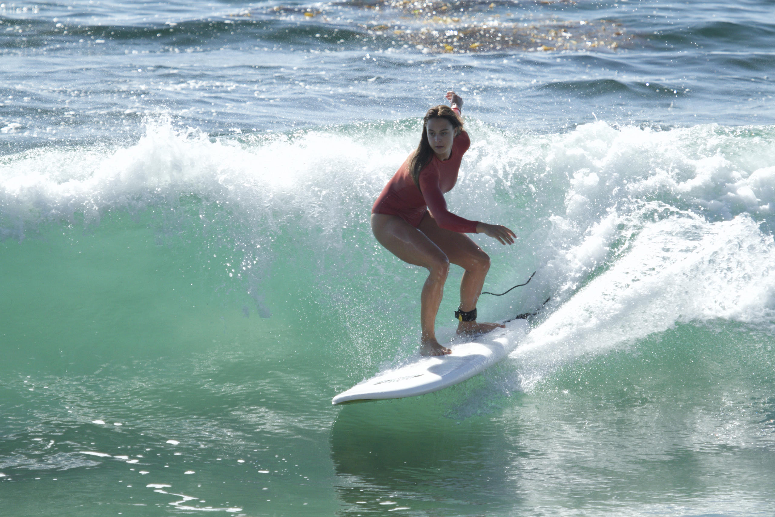Surfing or Paddle Boarding Lessons at Laguna Beach: Reefs, Hidden Beaches, Dolphins, Marine Life, and More image 8