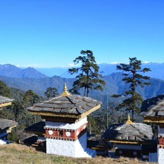 tourhub | World Tour Plan | Bhutan Nature Conscious Tour 