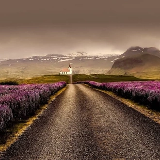 tourhub | Indus Travels | Gems of South Iceland and Reykjavik 