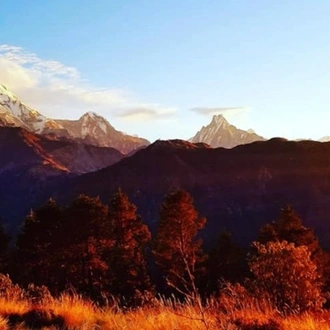 tourhub | Sherpa Expedition & Trekking | Ghorepani Poon Hill Trek 8 Days 