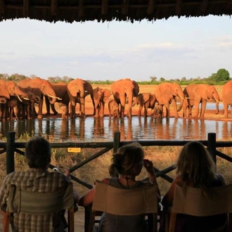 tourhub | Today Voyages | Combine Tsavo Safari & Watamu Beach 