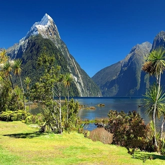 tourhub | Indus Travels | Picturesque Solo New Zealand Tour 