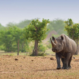 tourhub | Exodus Adventure Travels | Namibia & Botswana: Dunes & Delta 