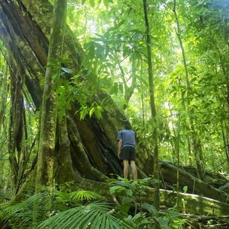 tourhub | On The Go Tours | Whitsundays, Reef & Rainforest - 10 days 