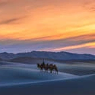 tourhub | Wild Frontiers | Mongolia: Land of the Great Khan 