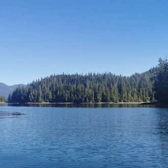 tourhub | Exodus Adventure Travels | Whales & Bears of British Columbia 