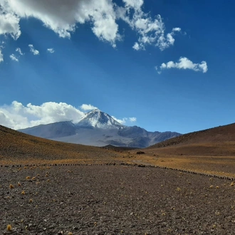 tourhub | Unu Raymi Tour Operator & Lodges | Llullaillaco Volcano Climb 