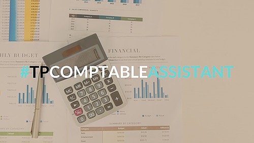 Représentation de la formation : Titre Professionnel Comptable Assistant