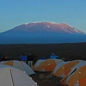 tourhub | Spider Tours And Safaris | Mount Kilimanjaro Climbing via Rongai Route 7 days Tanzania 