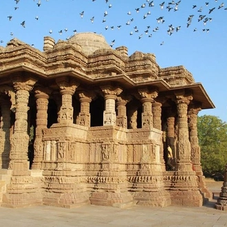 tourhub | Agora Voyages | Historical Sights, Regal Cities & Wildlife Sanctuaries of Gujarat 