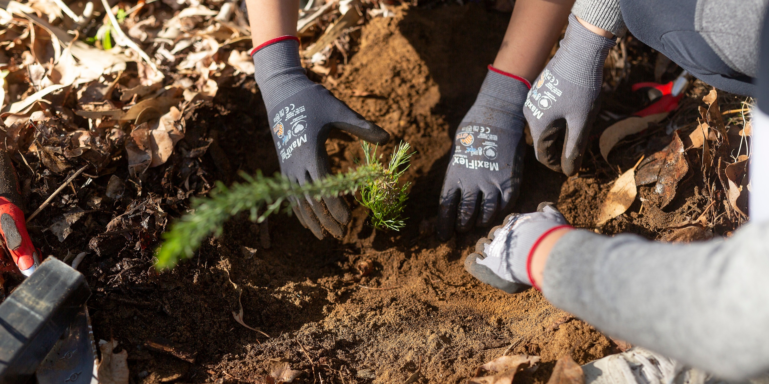 Community Planting Program - City of Stirling | Humanitix