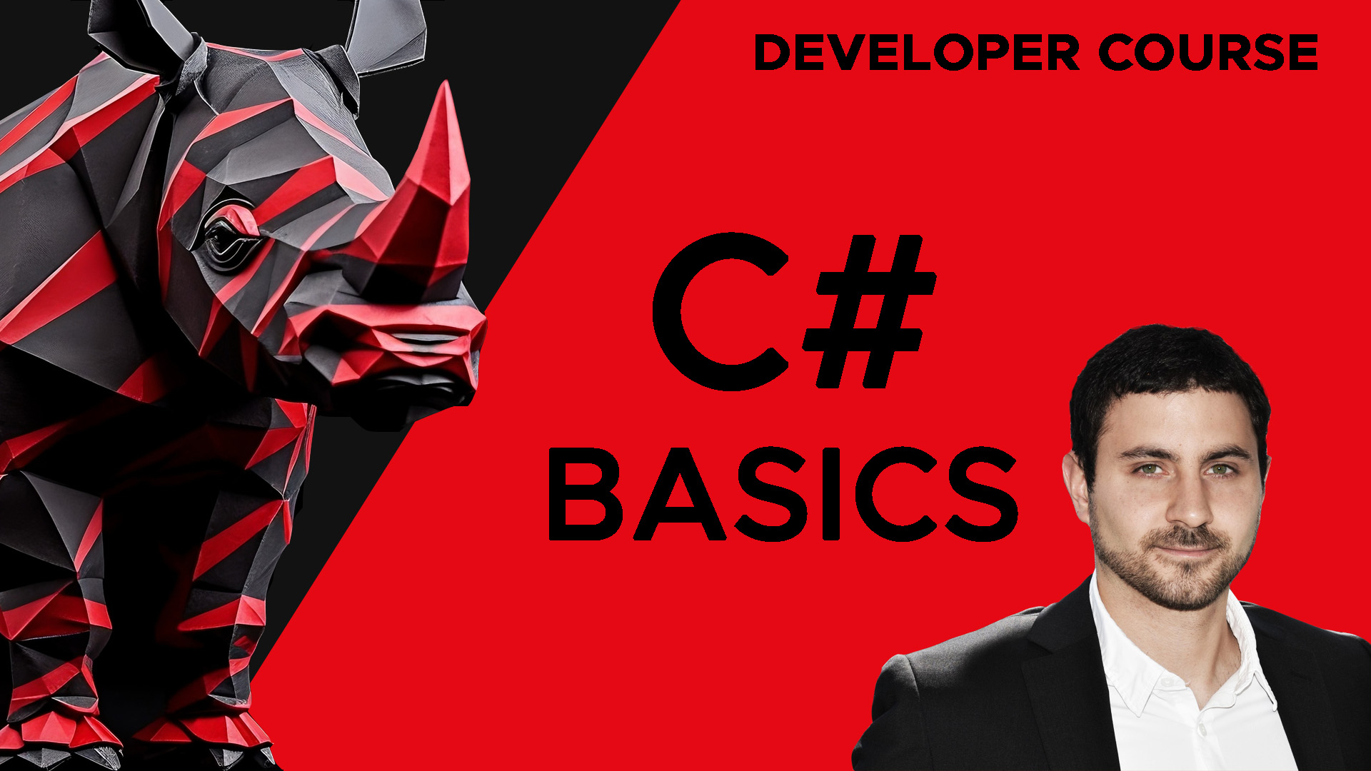 Product image for C# Basics