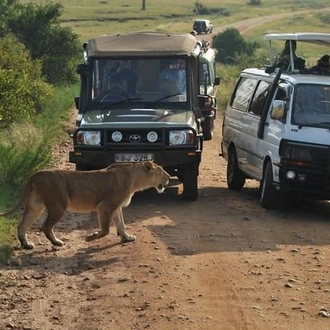 tourhub | Gracepatt Ecotours Kenya | 3-Days Maasai Mara Camping Safari on 4x4 Land Cruiser Jeep 