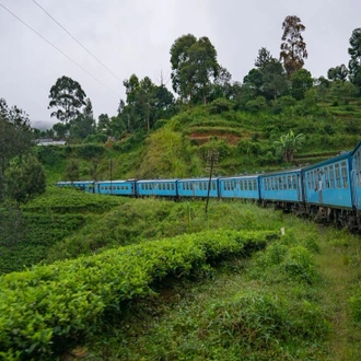 tourhub | Intrepid Travel | Essential Sri Lanka 