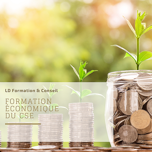 Représentation de la formation : Consultation annuelle du CSE