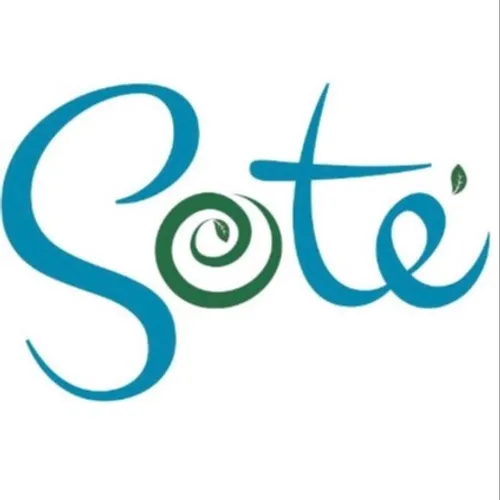 Sote Enterprises