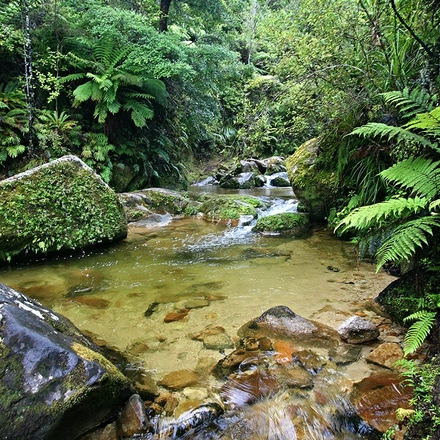 Walk Abel Tasman National Park