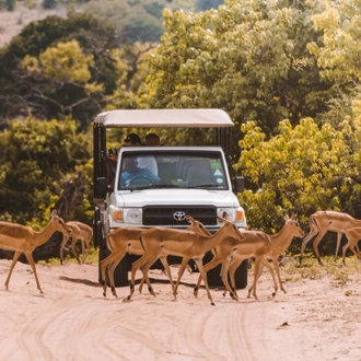 tourhub | Intrepid Travel | Okavango Experience 