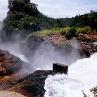 tourhub | Trek Rwenzori Tours | Uganda Greatest Hit Safari 