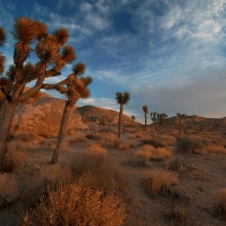 tourhub | Today Voyages | Classic West L.A. SUP 