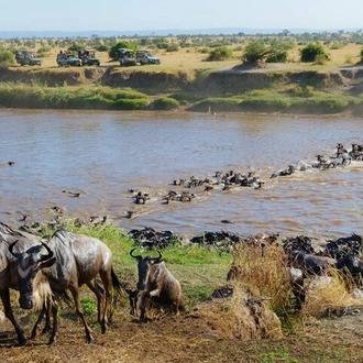 tourhub | Gracepatt Ecotours Kenya | 3-Days Maasai Mara Camping Safari on 4x4 Land Cruiser Jeep 