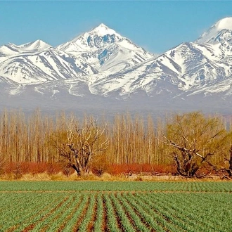 tourhub | Signature DMC | 4-Days Trip to Mendoza and The Andes 