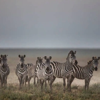 tourhub | Widerange African Safaris | 7 days Tanzania Budget/Midrange Safari by Widerange African Safaris 