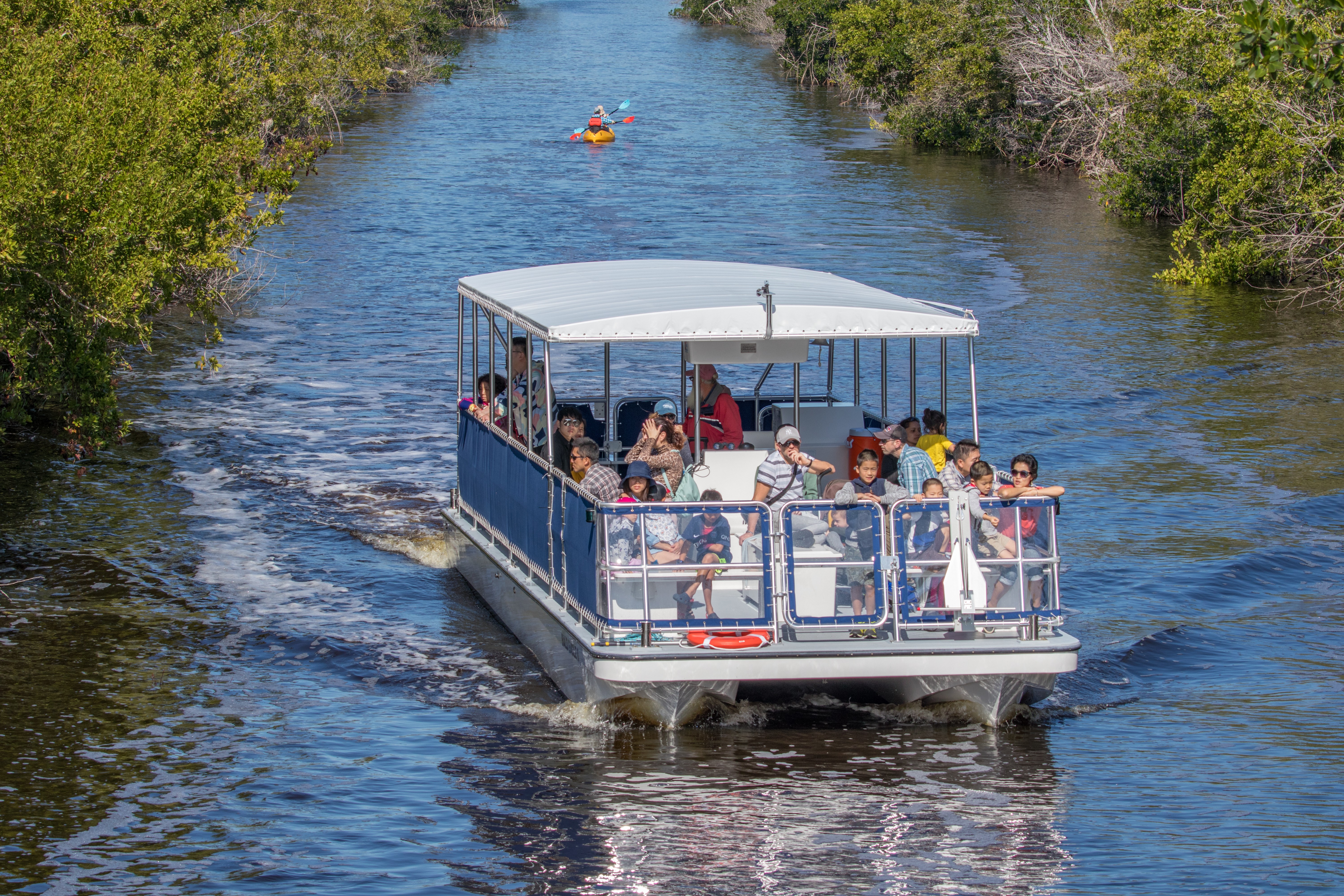 Flamingo Boat