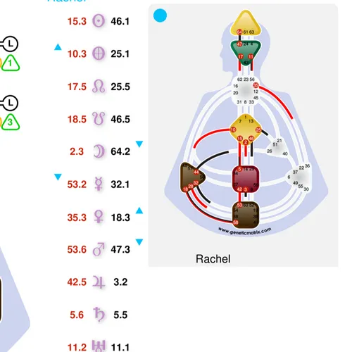 Human Design - Basic Reading