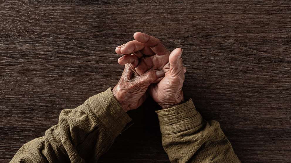 Représentation de la formation : PRENDRE SOIN DU PATIENT ATTEINT DE LA MALADIE DE PARKINSON