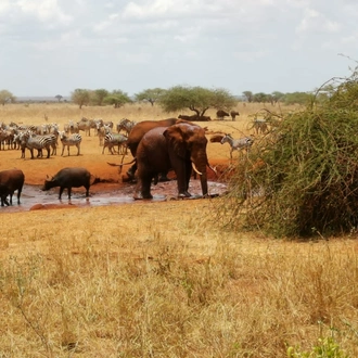 tourhub | Frenzy Adventures Limited | Tsavo East Voi Safari Lodge 