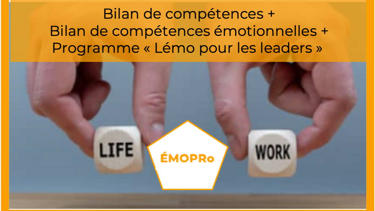 Représentation de la formation : Bilan de compétences et émotionnel - ÉMOPRo -