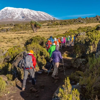 tourhub | ARP Travel Group | Machame Route, Silver Level Climb (On Request) 