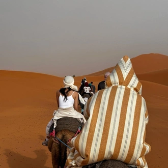 tourhub | Morocco Global Adventures | 9 Days Tour Of Imperial Cities Morocco South And North Via Sahara Desert 