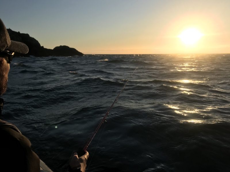 Pêche en bateau - Demi journée