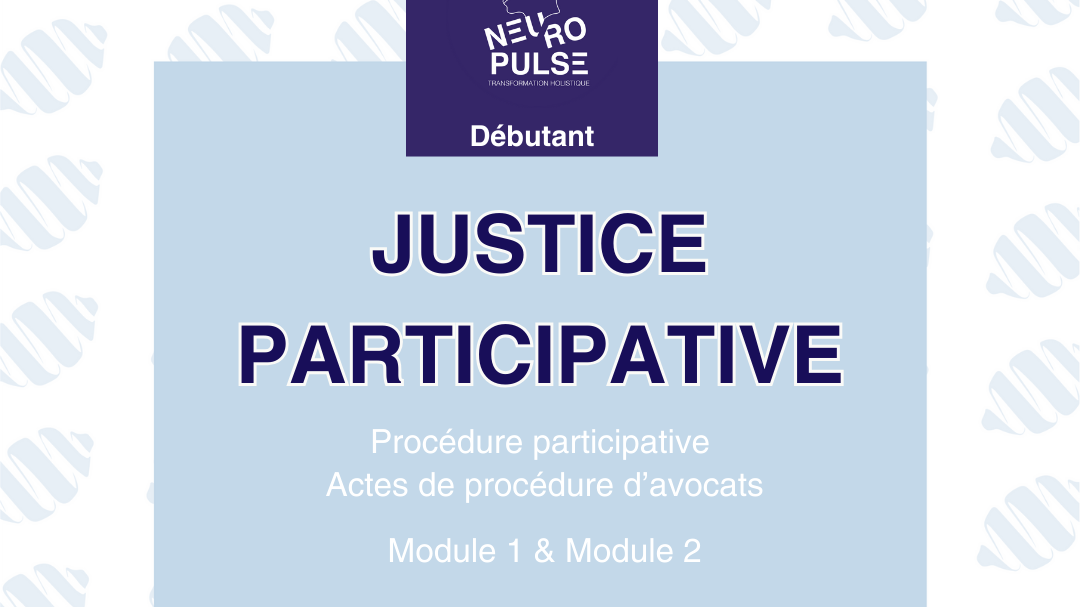 Représentation de la formation : Justice participative