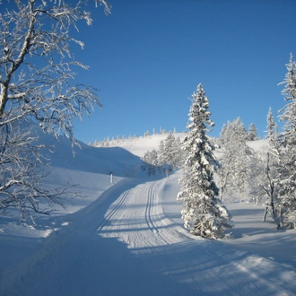 tourhub | Exodus Adventure Travels | Cross-Country Skiing in Lapland 