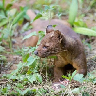 tourhub | Wild Frontiers | Madagascar Encompassed 