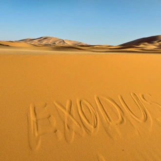 tourhub | Exodus Adventure Travels | Highlights of Morocco - In Comfort 