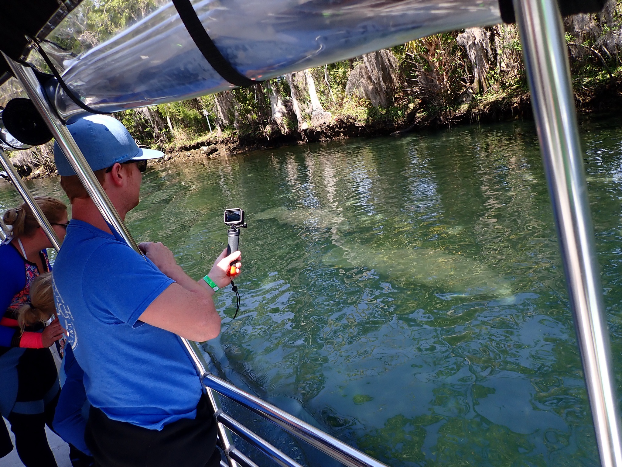 Manatee Viewing Cruise